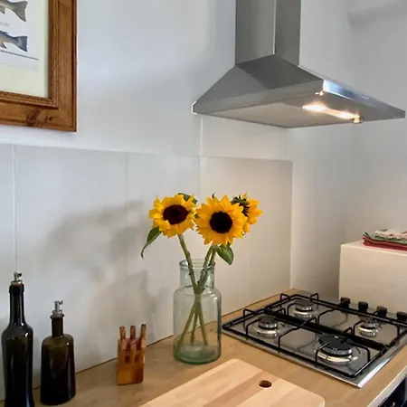 Studio_suite05 阿尔巴·阿德里亚蒂卡